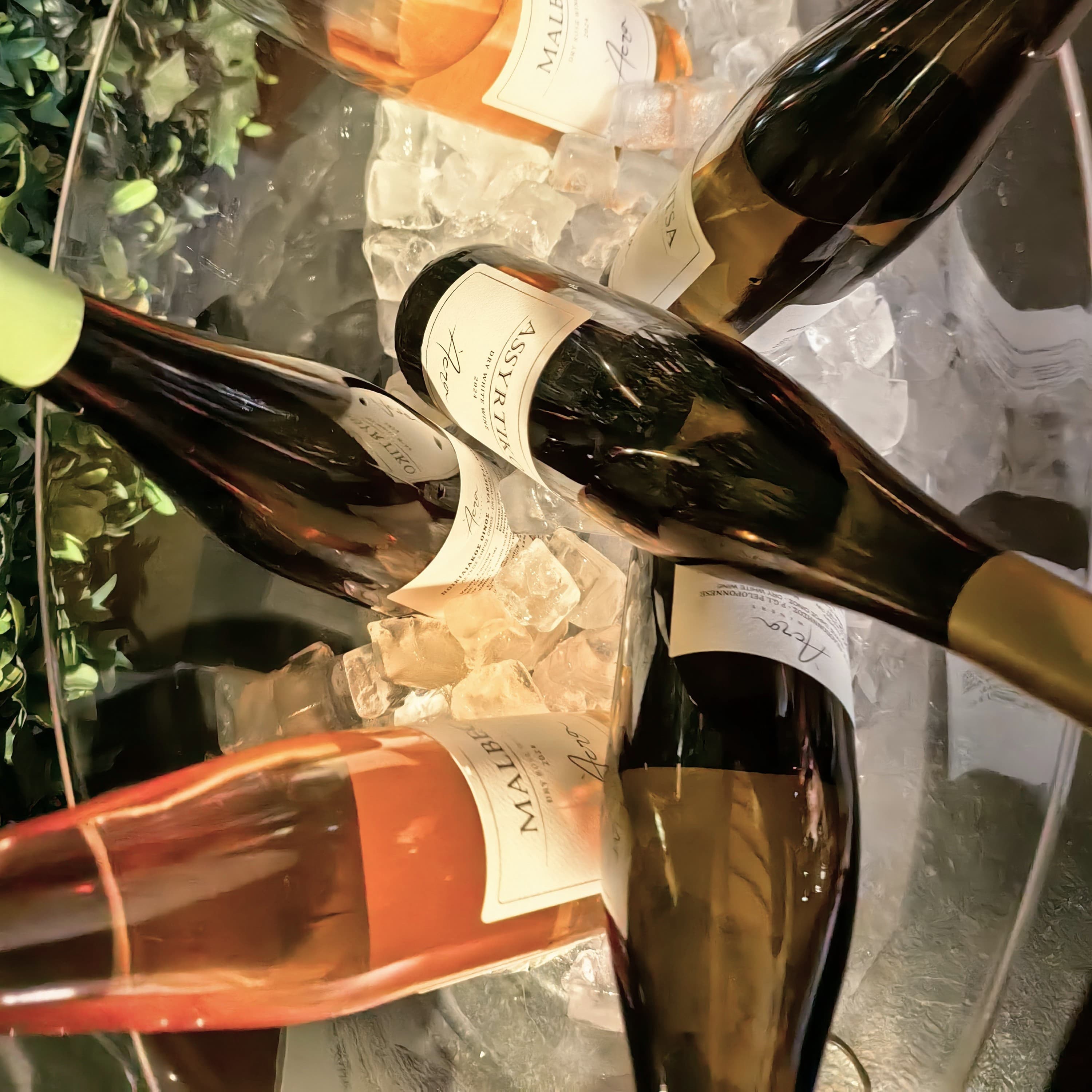 Παρουσίαση Acra Winery στο wine bar Κηφισιάς